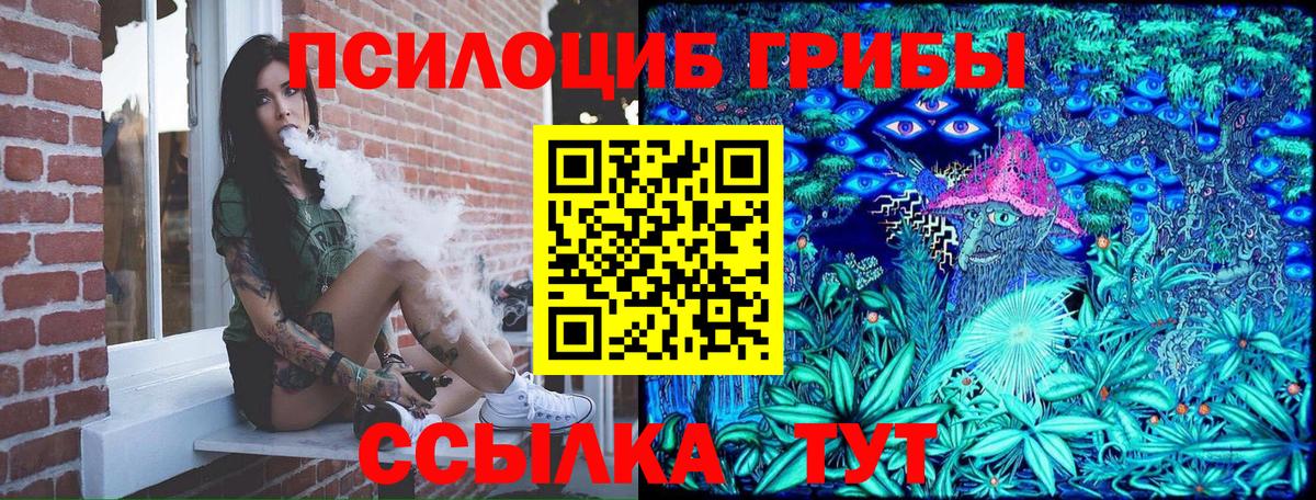 Псилоцибиновые грибы MAGIC MUSHROOMS  Вход с VPN  Урус-Мартан 