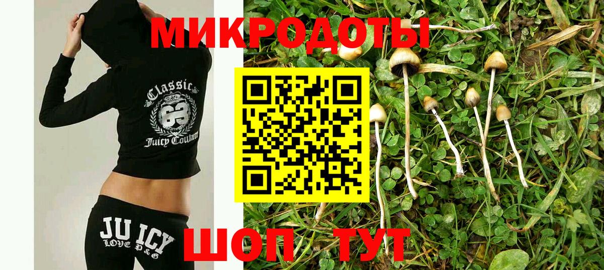 Галлюциногенные грибы ЛСД Урус-Мартан